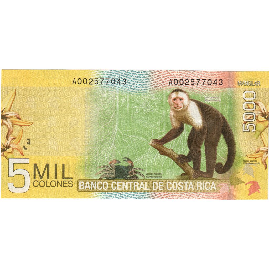 Costa Rica, 5000 Colones, 2009, 2009-09-02, KM:276, UNC(65-70)