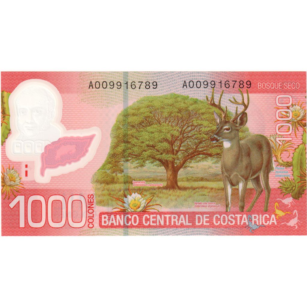 Costa Rica, 1000 Colones, 2009, 2009-09-02, KM:274, UNC(65-70)