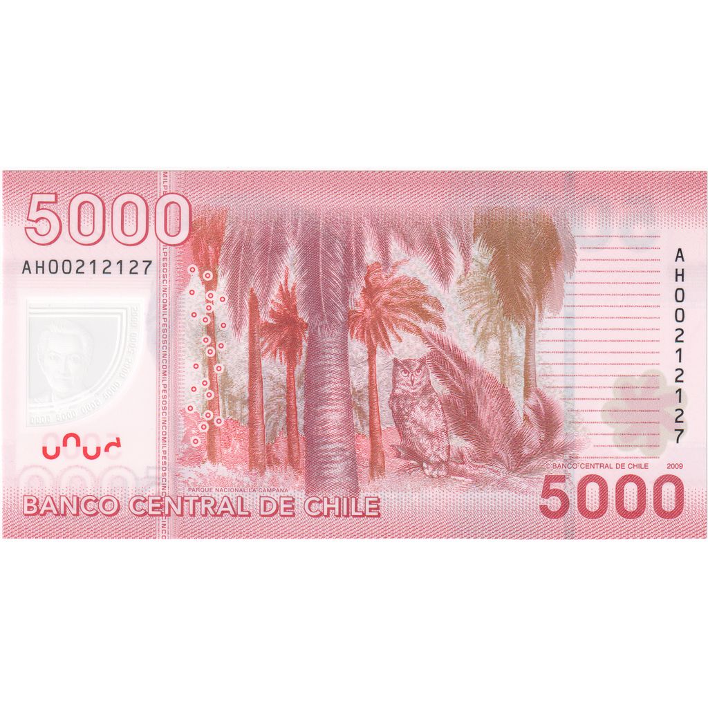 Billete, 5000 Pesos, 2011, Chile, UNC