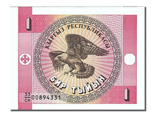 Banknote, KYRGYZSTAN, 1 Tyiyn, 1993, UNC(65-70)