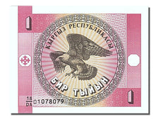Banknote, KYRGYZSTAN, 1 Tyiyn, 1993, UNC(65-70)