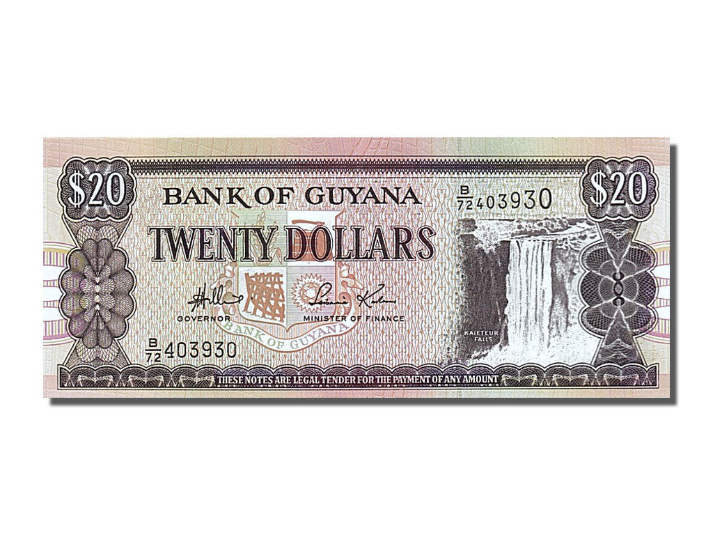 Banconote, Guyana, 20 Dollars, 1989, FDS