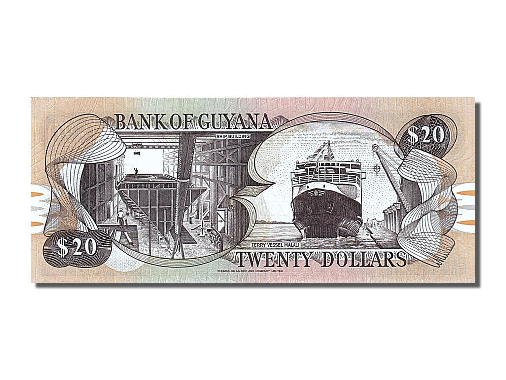 Banconote, Guyana, 20 Dollars, 1989, FDS