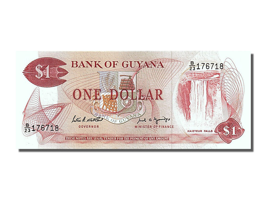 Banknot, Gujana, 1 Dollar, 1989, UNC(65-70)