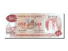 Banknot, Gujana, 1 Dollar, 1989, UNC(65-70)