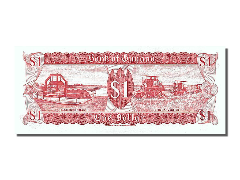 Banknot, Gujana, 1 Dollar, 1989, UNC(65-70)