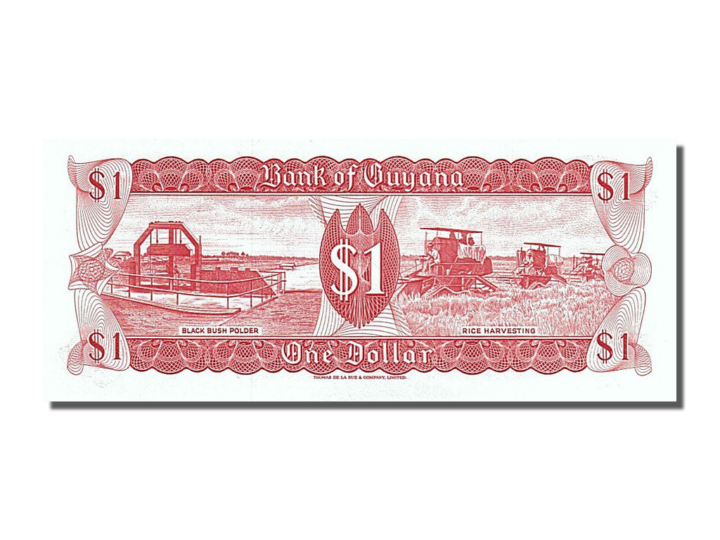 Billet, Guyana, 1 Dollar, 1989, NEUF
