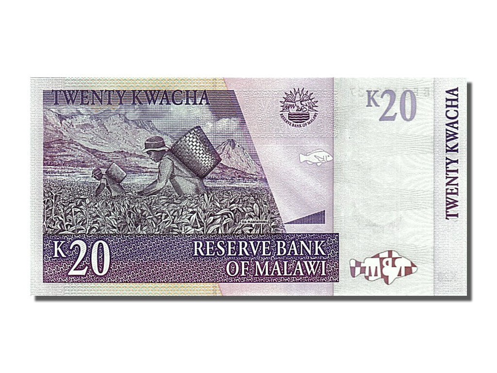 Banknote, Malawi, 20 Kwacha, 2007, 2007-10-31, UNC(63)