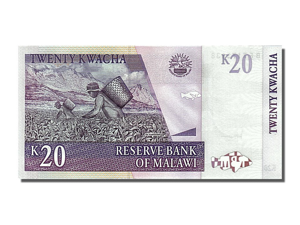 Banknote, Malawi, 20 Kwacha, 2007, 2007-10-31, UNC(65-70)