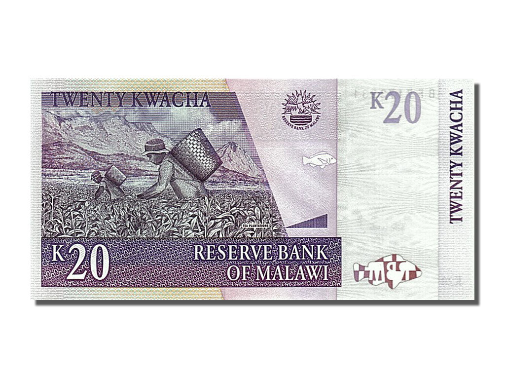 Banknot, Malawi, 20 Kwacha, 2007, 2007-10-31, UNC(63)