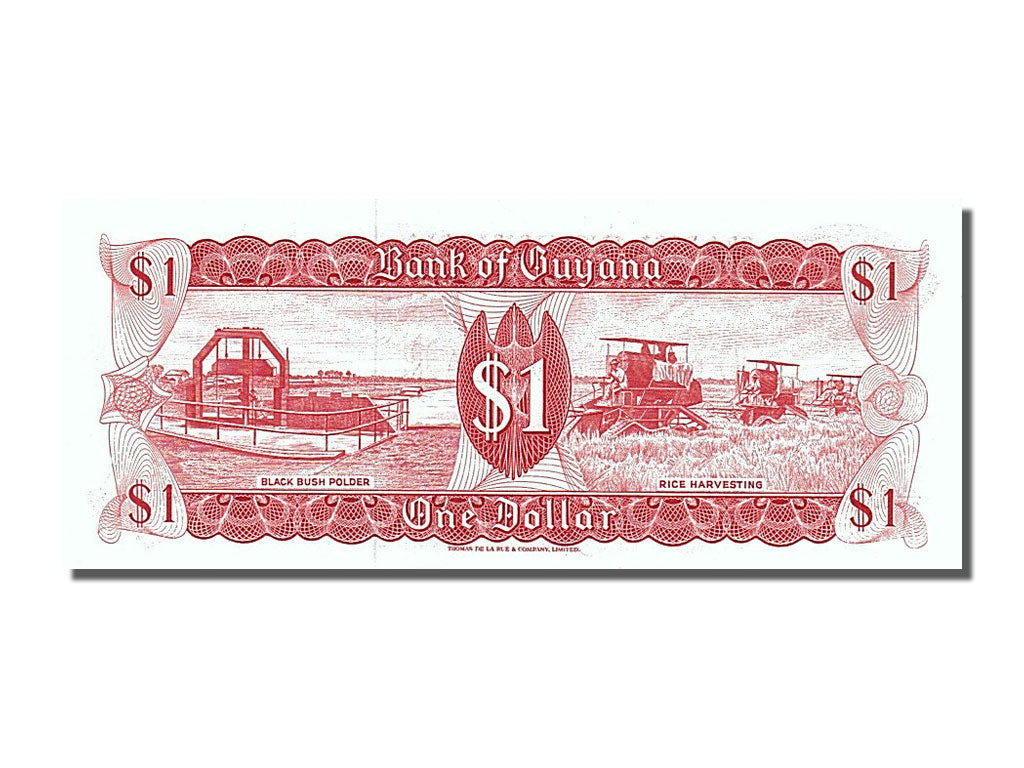 Geldschein, Guyana, 10 Dollars, 1989, UNZ
