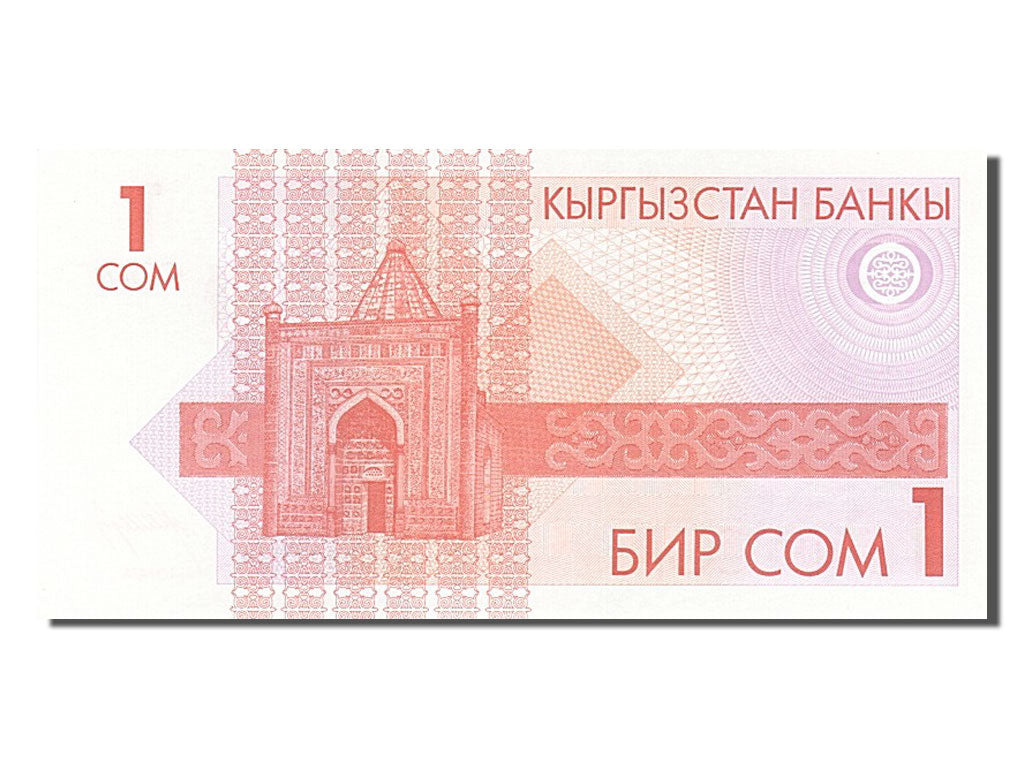 Banknote, KYRGYZSTAN, 1 Som, 1993, UNC(65-70)