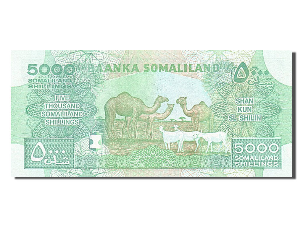 Banconote, Somaliland, 5000 Shillings, 2011, KM:21, Undated, FDS