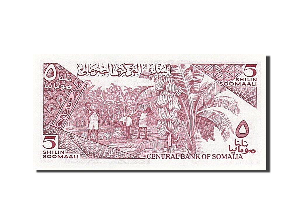 Banknote, Somalia, 5 Shilin = 5 Shillings, 1983, 1982-12-30, UNC(65-70)