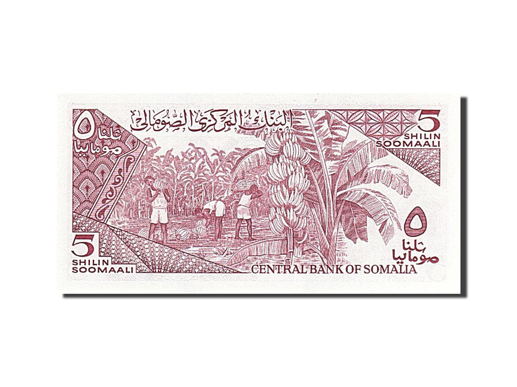 Banconote, Somalia, 5 Shilin = 5 Shillings, 1983, 1982-12-30, FDS