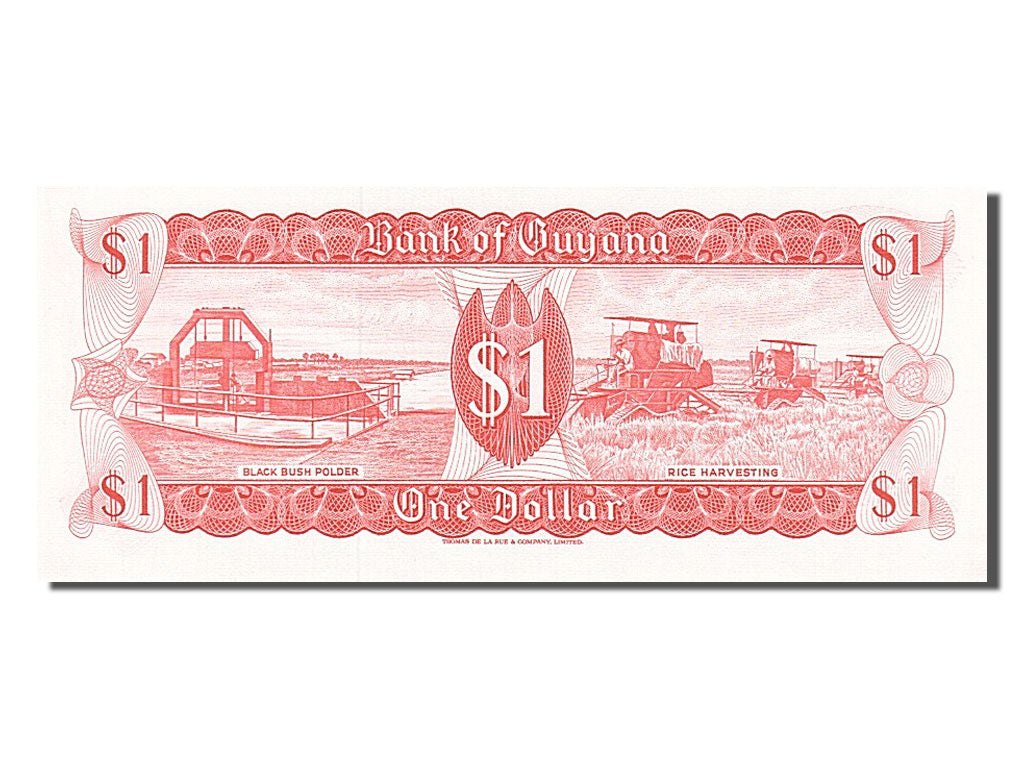 Biljet, Guyana, 1 Dollar, 1989, NIEUW