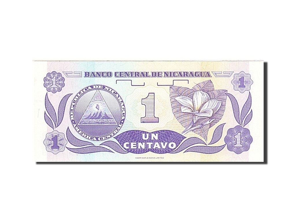 Banknote, Nicaragua, 1 Centavo, 1991, Undated, KM:167, UNC(63)