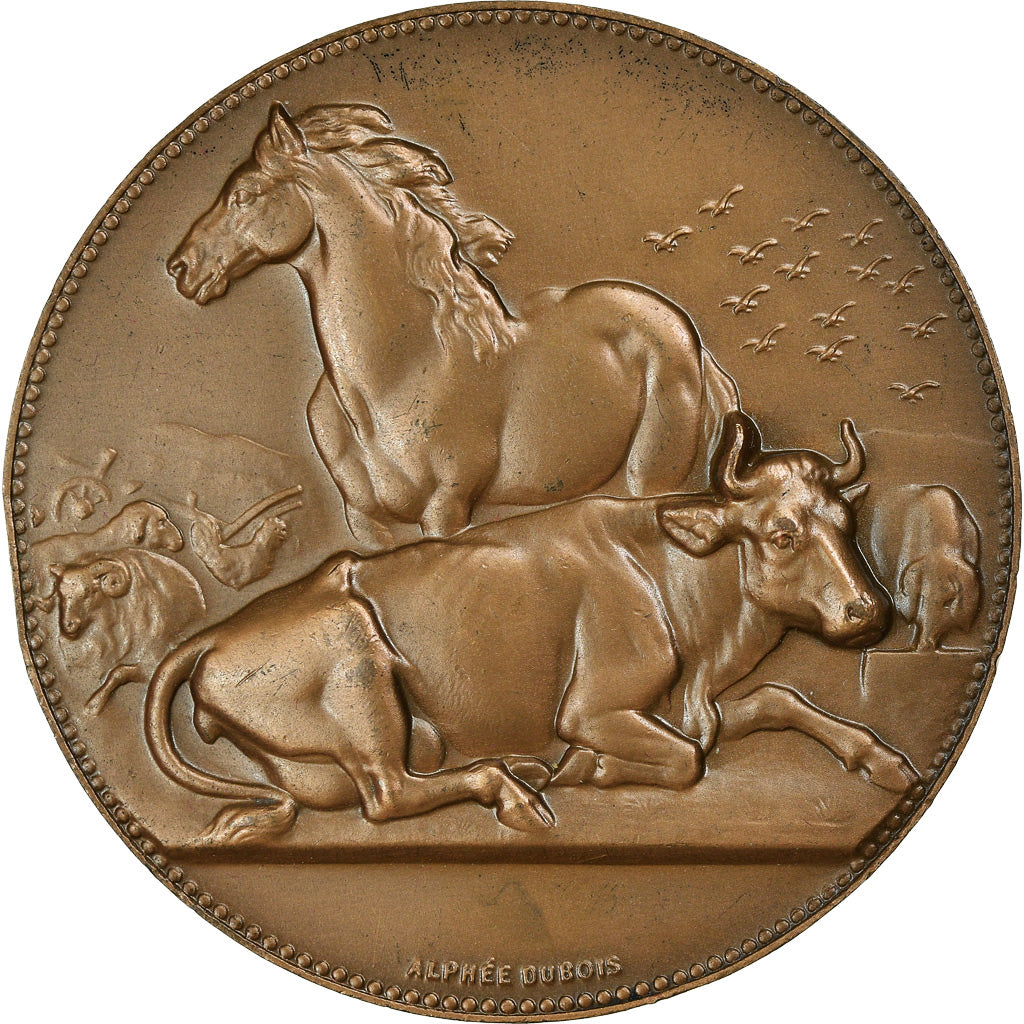 França, Medal, Agriculture, Elevage, Fauquembergues, Pas-de-Calais, 1971