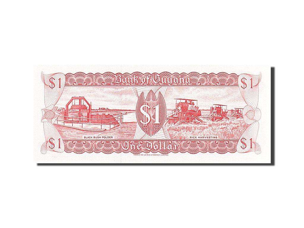 Biljet, Guyana, 1 Dollar, 1966, 1989, KM:21f, NIEUW