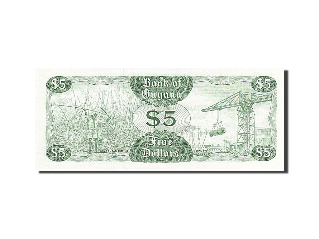 Biljet, Guyana, 5 Dollars, 1966, 1989, KM:22e, NIEUW