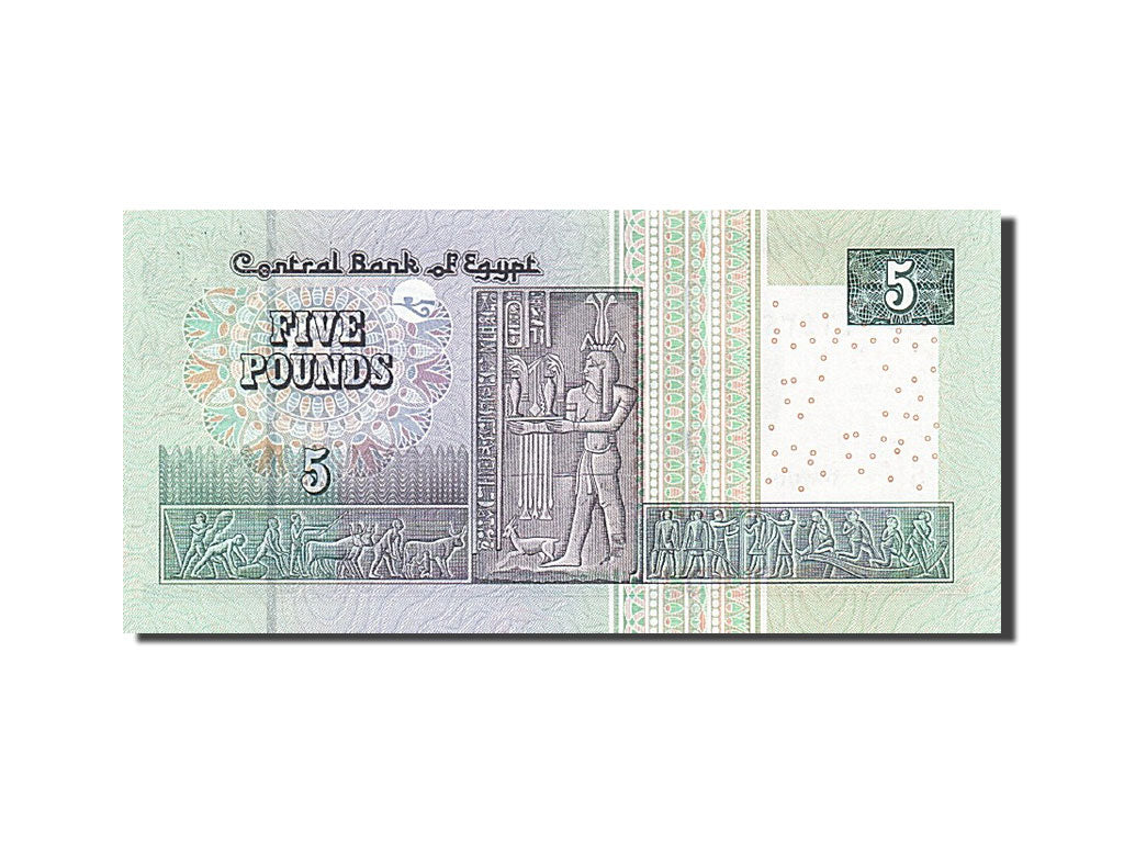 Banknote, Egypt, 5 Pounds, 2013, 2013, UNC(65-70)