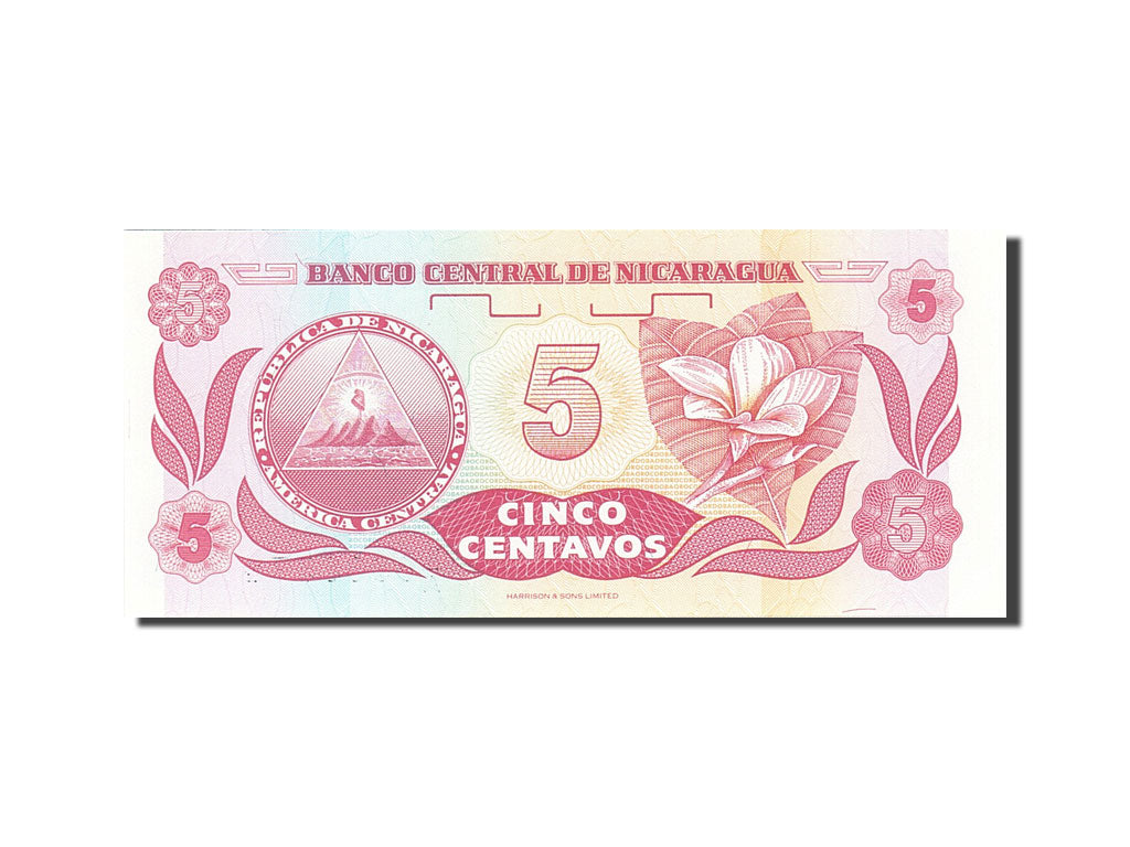 Banconote, Nicaragua, 5 Centavos, 1991-1992, KM:168a, Undated (1991), SPL