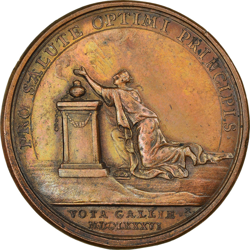 Francia, medaglia, Louis XIV, La Maladie du Roi, History, 1686, Mauger, SPL-