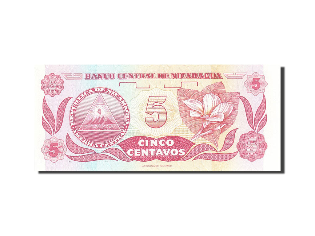Banknote, Nicaragua, 5 Centavos, 1991-1992, Undated (1991), KM:168a, UNC(63)