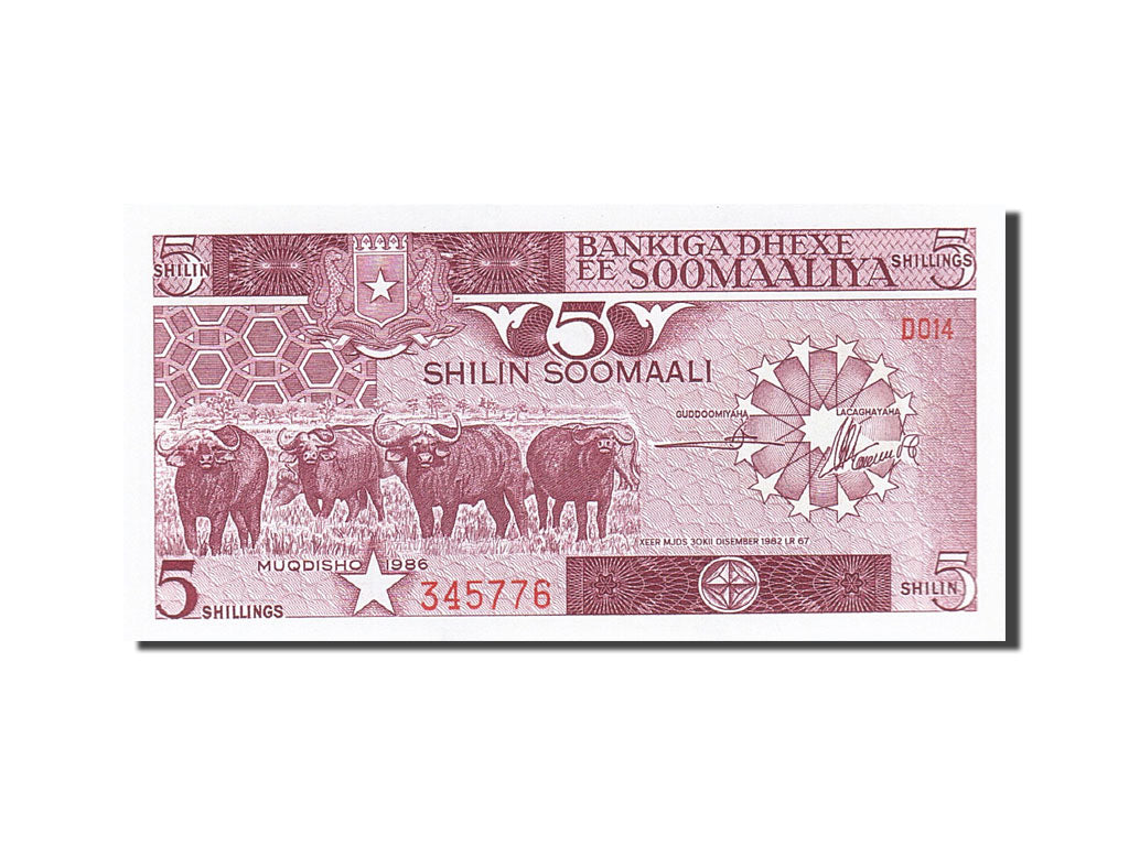 Billet, Somalie, 5 Shilin = 5 Shillings, 1982-1983, 1986, KM:31b, NEUF