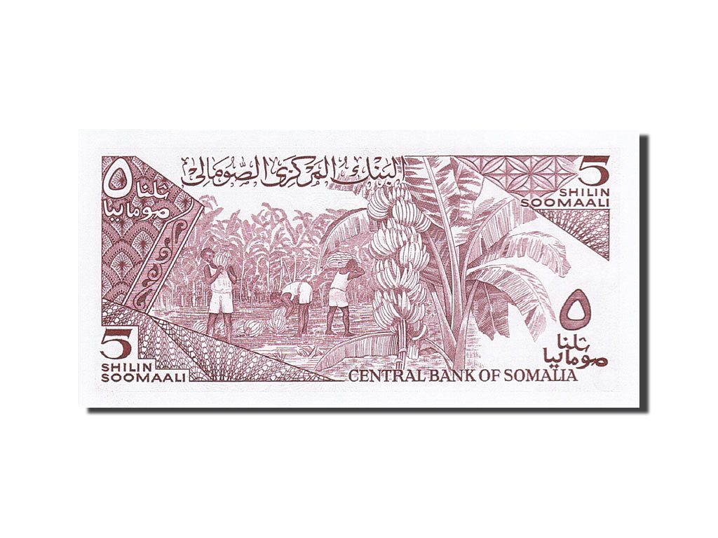 Billet, Somalie, 5 Shilin = 5 Shillings, 1982-1983, 1986, KM:31b, NEUF