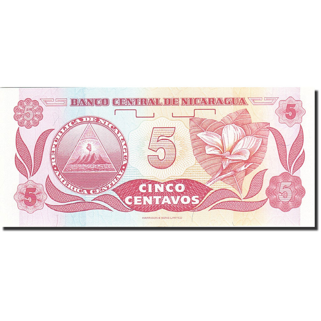 Billete, 5 Centavos, 1991-1992, Nicaragua, KM:168a, Undated (1991), UNC