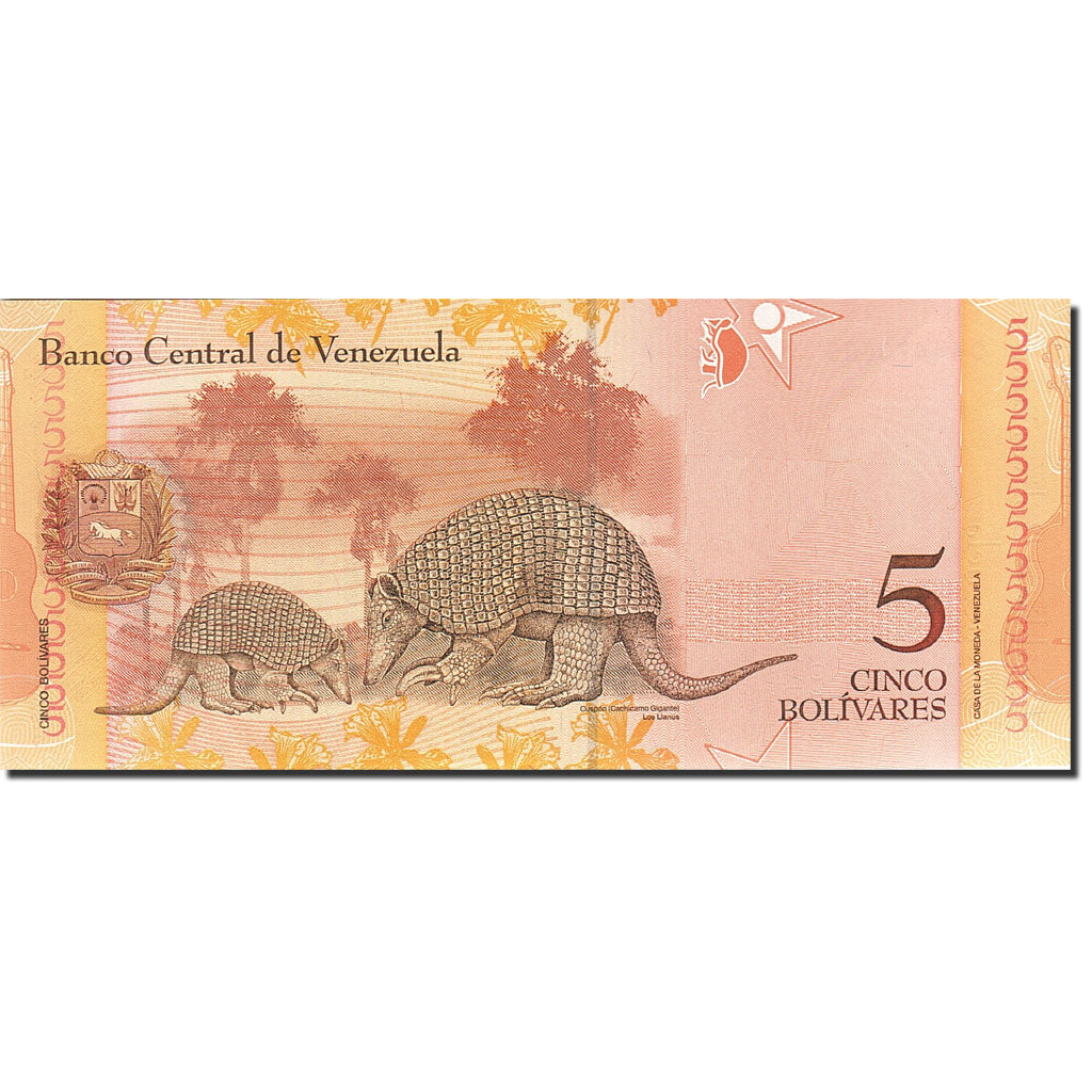 Banknote, Venezuela, 5 Bolivares, 2007, 2007-03-20, KM:89a, UNC(65-70)