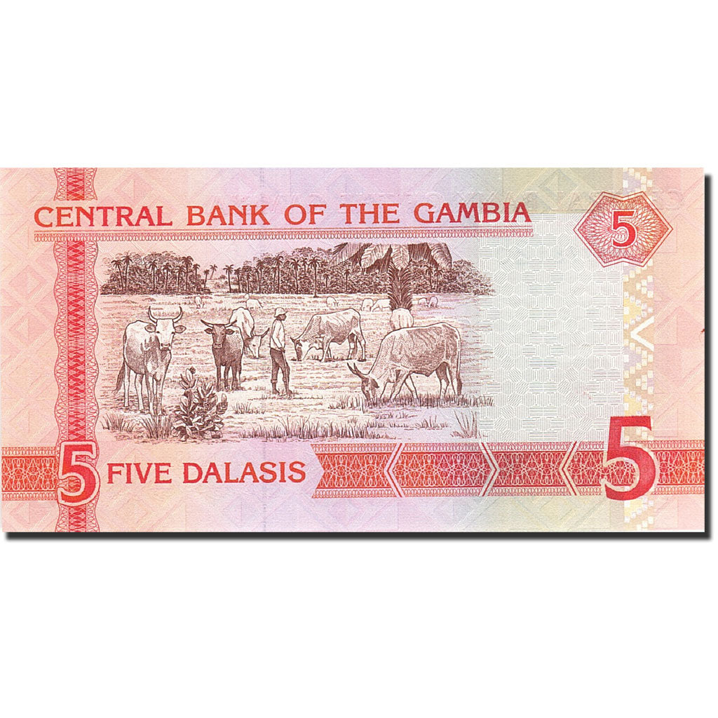 Banknote, The Gambia, 5 Dalasis, 2001, Undated (2001), KM:20a, UNC(65-70)