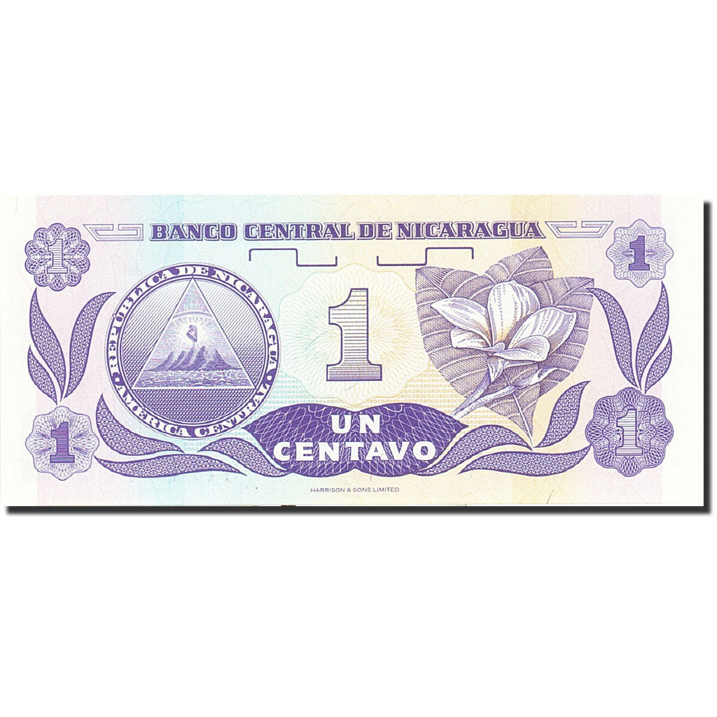 Banknote, Nicaragua, 1 Centavo, 1991-1992, Undated (1991), KM:167, UNC(65-70)