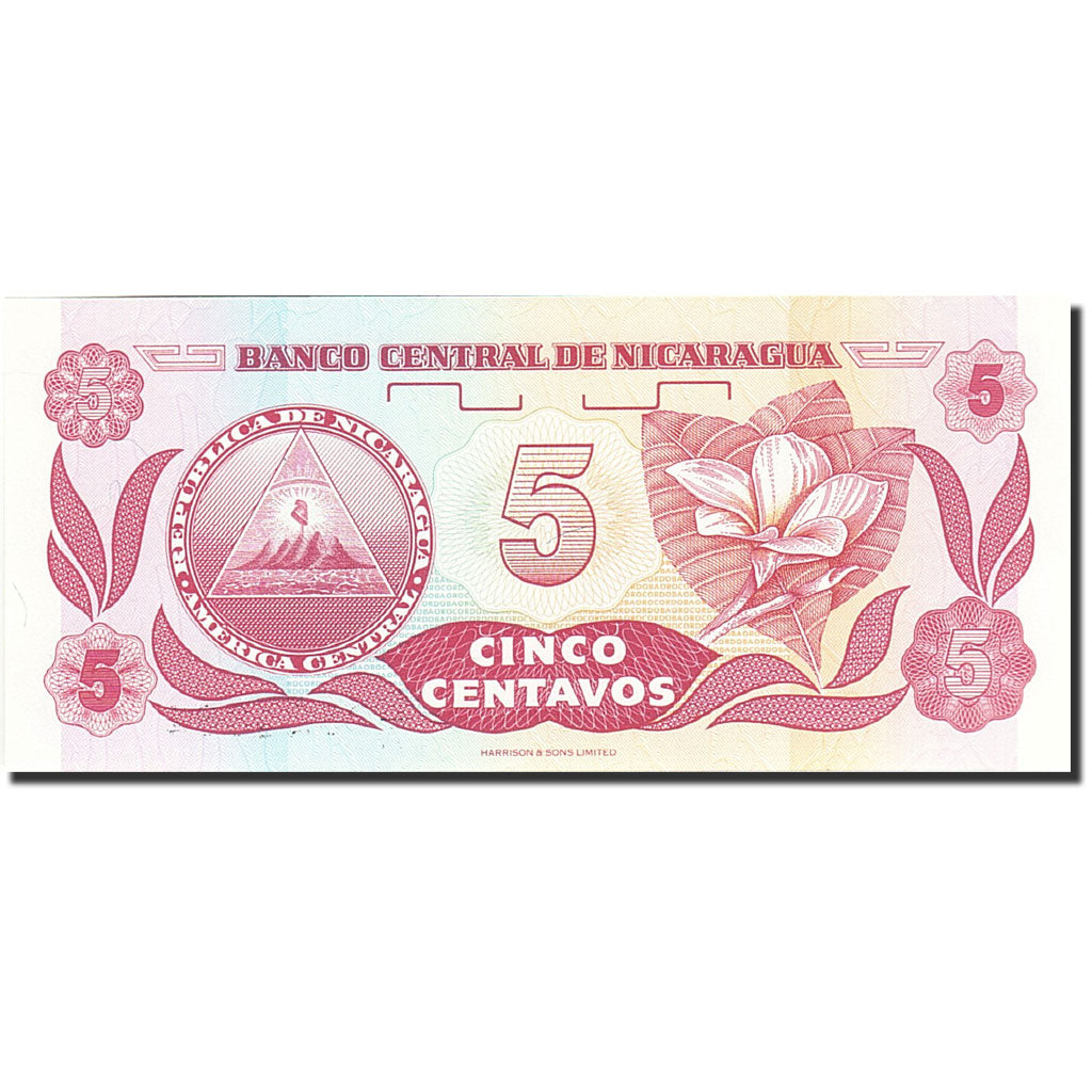 Banknote, Nicaragua, 5 Centavos, 1991-1992, Undated (1991), KM:168a, UNC(65-70)