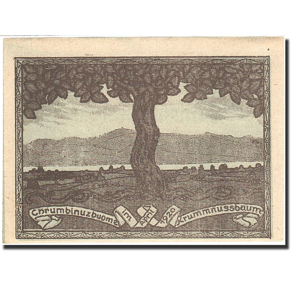 Banknote, Austria, Krummnusssbaum, 20 Heller, Usine, 1920, 1920-12-31, AU(55-58)