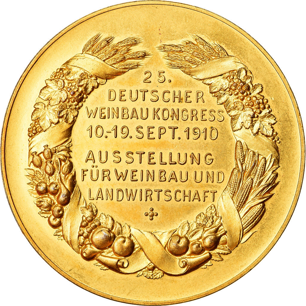 Germany, Medal, Austellung, 25. Deutscher Weinbau Kongress, Colmar, 1910