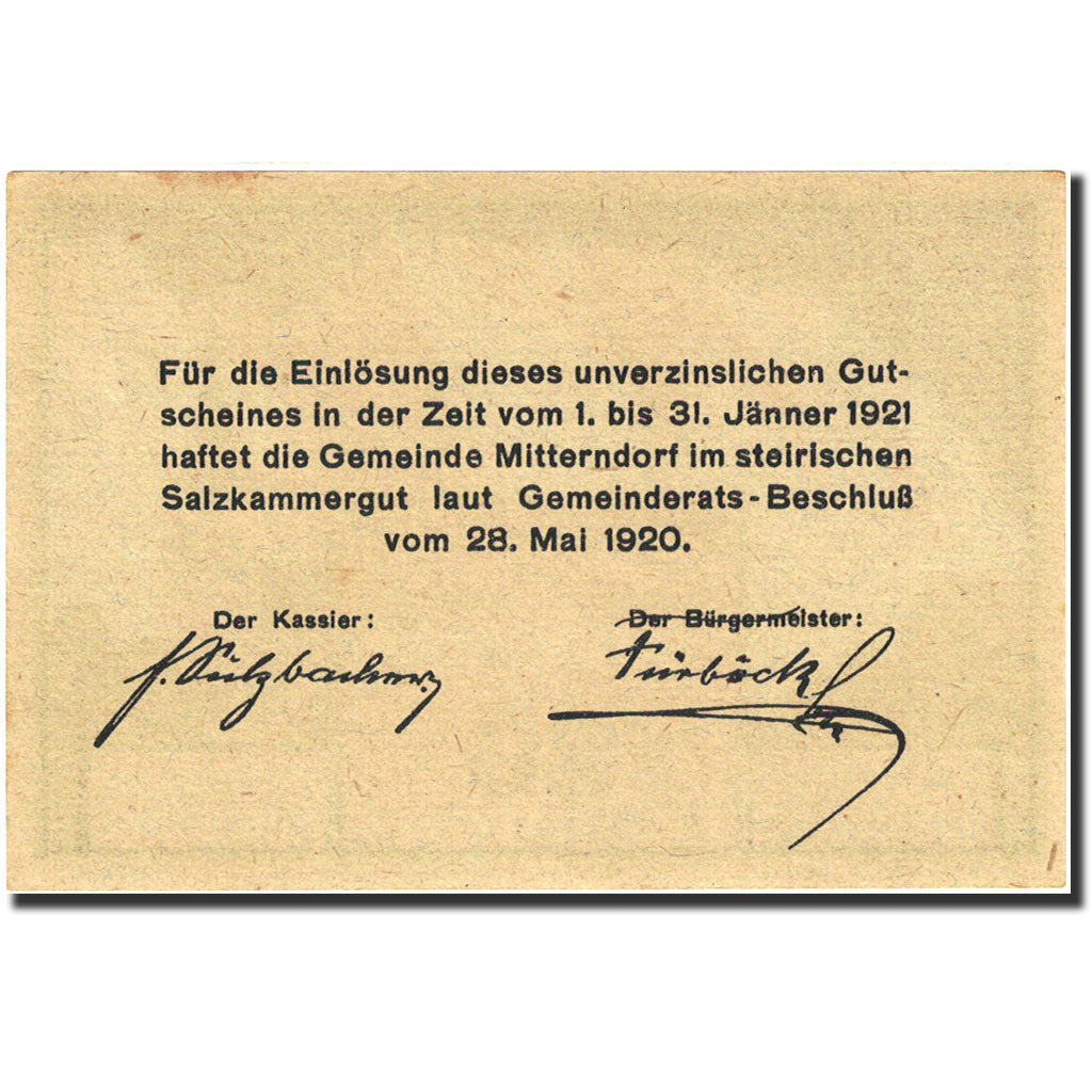 Banknote, Austria, Mitterndorf, 20 Heller, montagne, 1921, 1920-01-31, UNC(64)