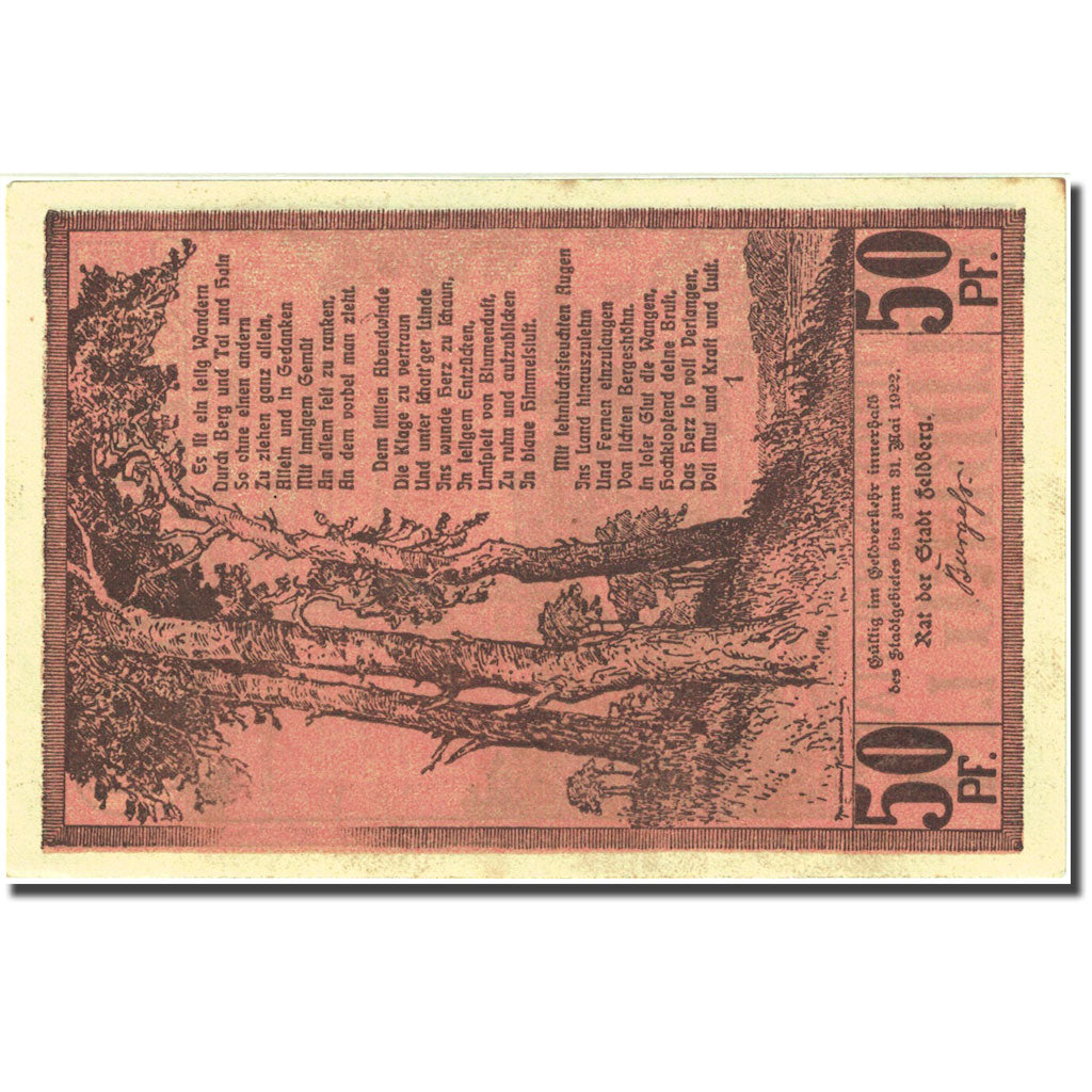 Banknote, Germany, Feldberg, 50 Pfennig, village, 1922, AU(55-58), Mehl:361.1