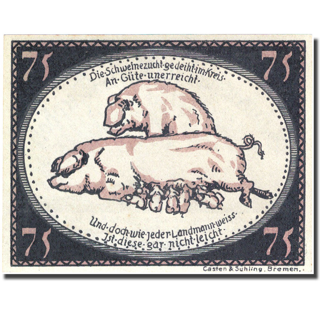 Geldschein Deutschland Diepholz 75 Pfennig animaux 1, 1921 grün UNZ- Mehl 273.5