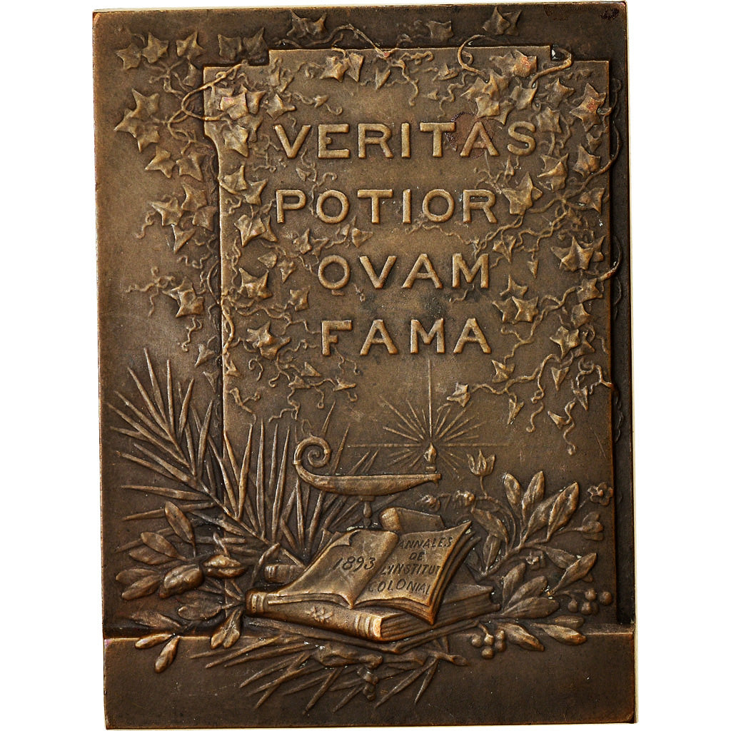 Frankrijk, Medaille, Professeur Edouard Heckel, Institut Colonial, Medicine