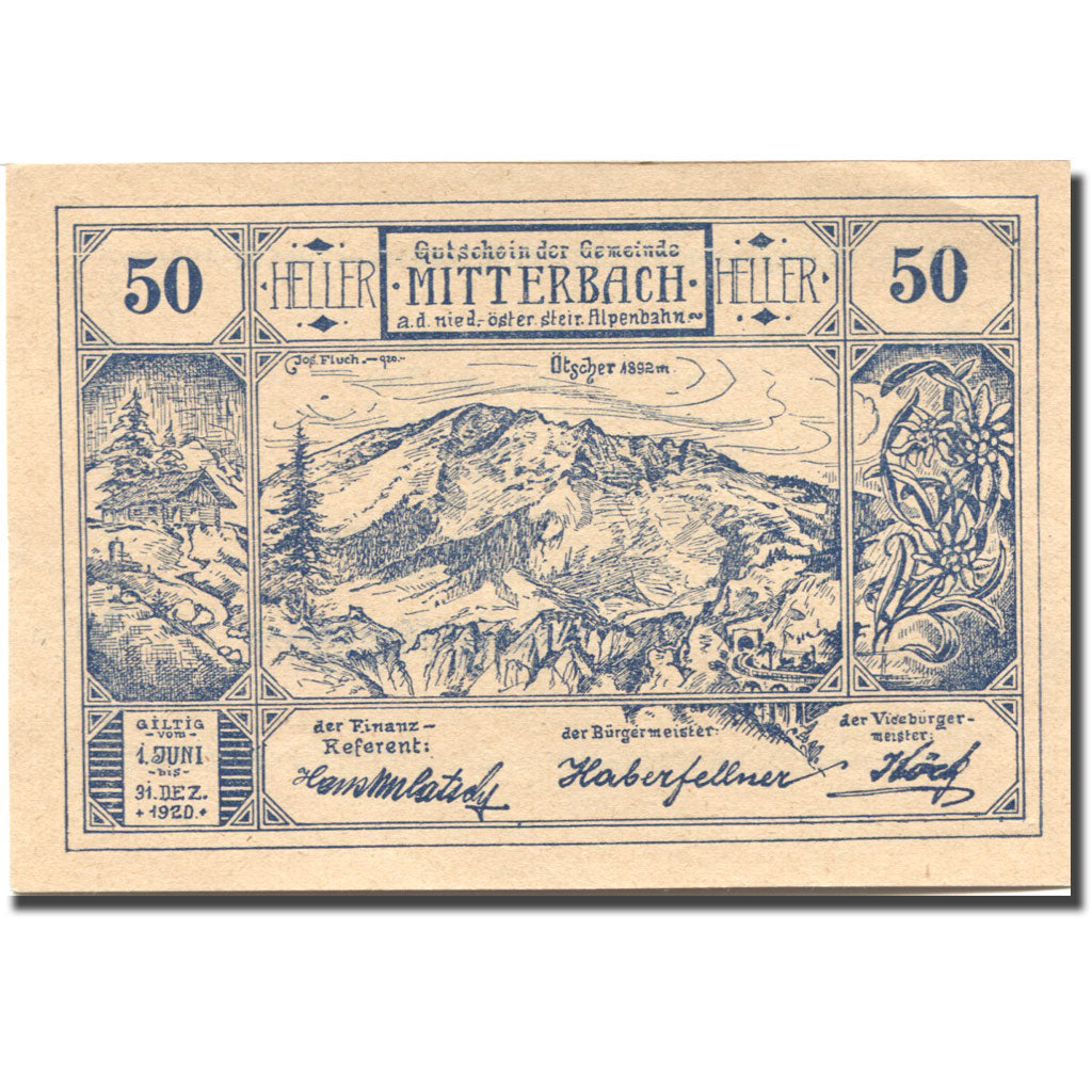 Banconote, Austria, Mitterbach, 50 Heller, montagne, 1920 SPL Mehl:FS 618a