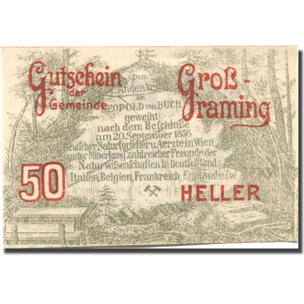 Geldschein, Österreich, Grossraming, 50 Heller, Forêt, 1920 UNZ- Mehl:FS 296I