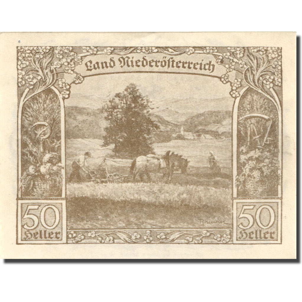 Billet, Autriche, Wien, 50 Heller, agriculteur 1920-12-31, SPL, Mehl:FS 671I