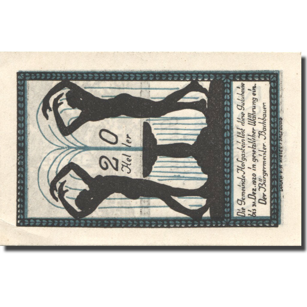 Geldschein, Österreich, Hofgastein, 20 Heller, Eglise, UNZ-, Mehl:FS 384Ia