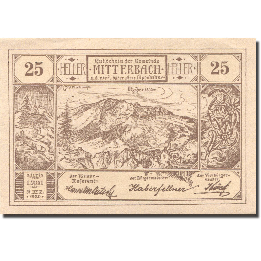 Banknote, Austria, Mitterbach, 25 Heller, montagne, 1920 UNC(63) Mehl:FS 618b