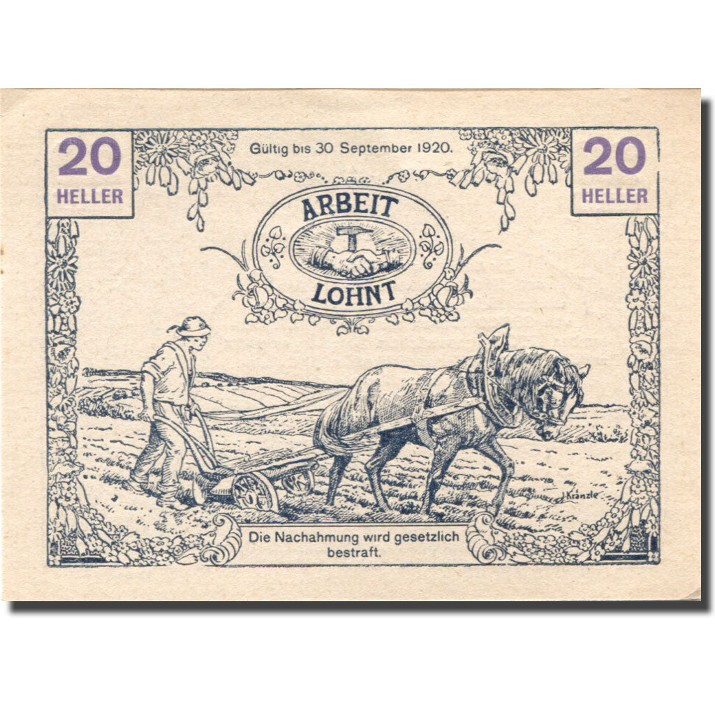 Banconote, Austria, Tausendblum, 20 Heller, agriculteur, 1920 SPL Mehl:FS 1060