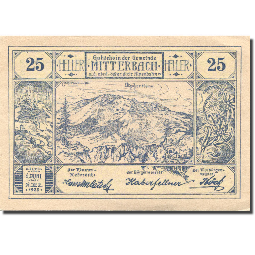 Banknote, Austria, Mitterbach, 25 Heller, montagne, 1920 UNC(63) Mehl:FS 618a