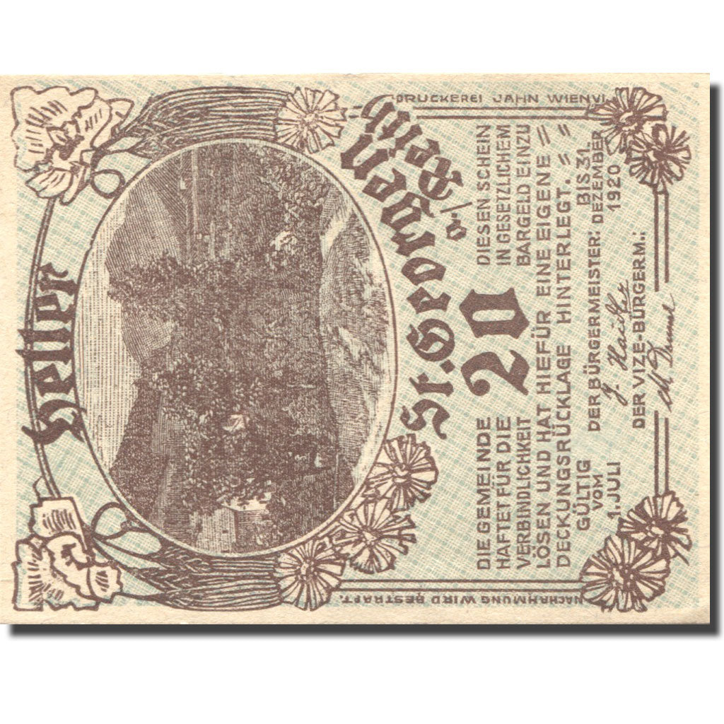 Biljet, Oostenrijk, St Georgen, 20 Heller, paysage 1, 1920 SPL Mehl:FS 883Ia