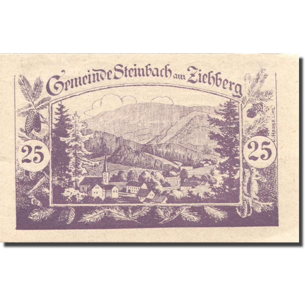 Banknote, Austria, Steinbach, 25 Heller, paysage, 1920 UNC(63) Mehl:FS 1024